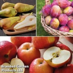 Fruit and Plants Sales -Fruit and Plants Sales fruit5